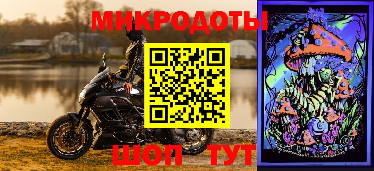 Галлюциногенные грибы Cubensis  Шумерля  Галлюциногенные грибы мицелий 