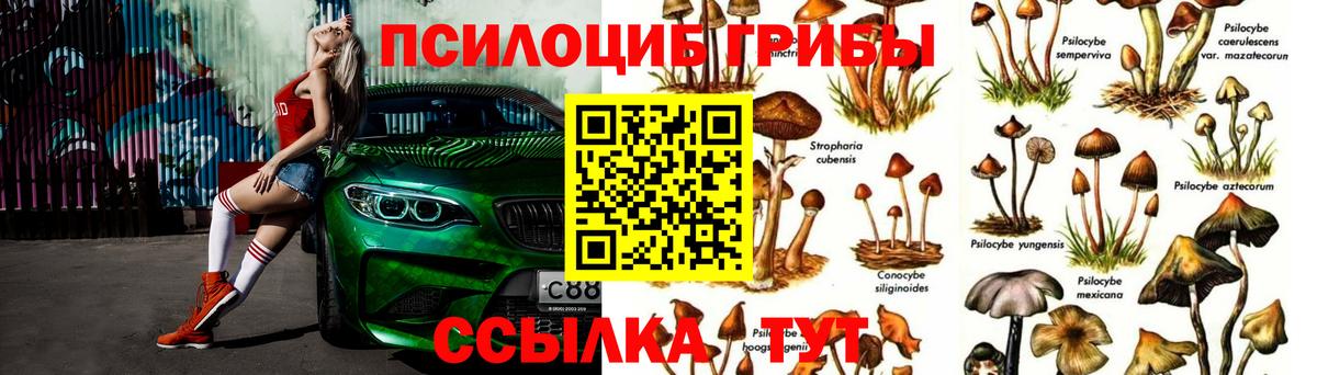Галлюциногенные грибы ЛСД  Галлюциногенные грибы Psilocybine cubensis  Вход с VPN  Шумерля 